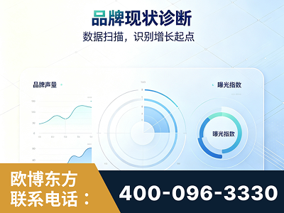 甘孜-品牌现状诊断