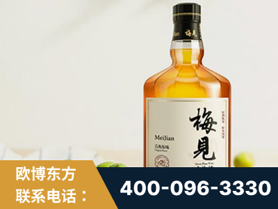 甘孜-梅见青梅酒